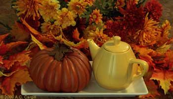 Here Comes Fall! Here Comes Fall!