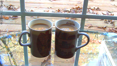 Tea on Back Deck