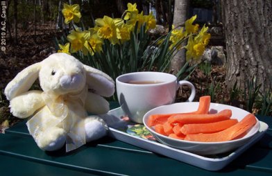 Yellow Bunny with Tea & Carrots