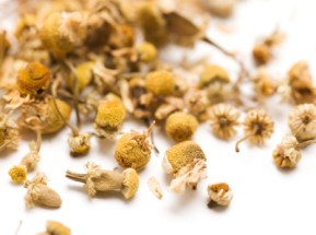 Chamomile