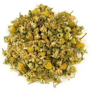 Eygptian Chamomile