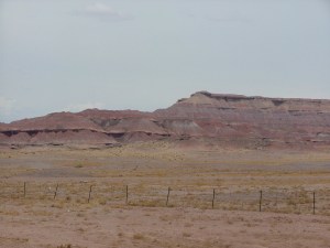 Painted Dessert