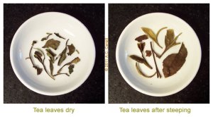 Tea_Blog_ETS-PMTWht-Comp