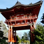 Japanese Loose Teas Sampler