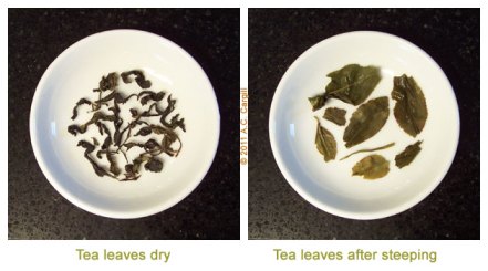 Small white bowls to show before and after steeping