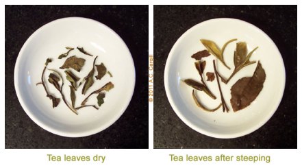 Tea_Blog_ETS-PMTWht-Comp