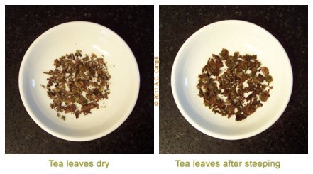 Tea_Blog_HDS-PMT-Comp