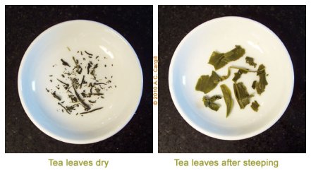 Tea_Blog_ObSncha-SmrSun-Com