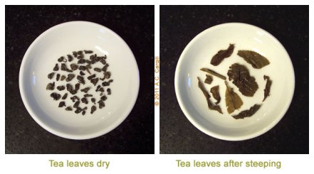 Tea_Blog_PT-Gnpwdr-Comp