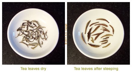 Tea_Blog_PT-SlvrNdl-Comp