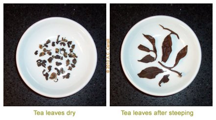 Tea_Blog_TG-YGDP-Comp