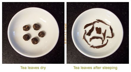 Tea_Blog_TP-RedDgnPrl-Comp