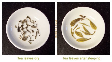 Tea_Blog_TP-WhtMnkyGrn-Comp