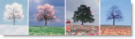 Four Seasons Four Seasons