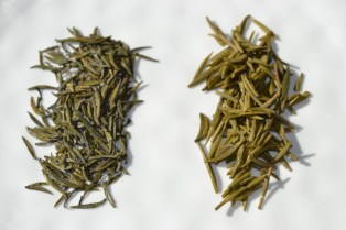 Dried loose leaf compared to the wet leaf on the right
