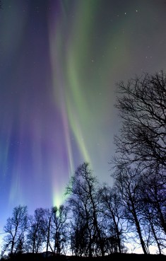 Aurora Borealis - Credit: Fredrik Broms Aurora Borealis - Credit: Fredrik Broms