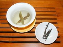 Kuding tea Ilex kudingcha Kuding tea Ilex kudingcha