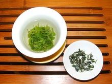 Kuding tea Ligustrum robustum Kuding tea Ligustrum robustum