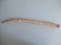 Burdock Root Burdock Root