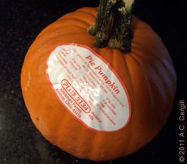 Pie Pumpkin Pie Pumpkin