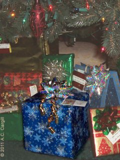 Tea_Blog_TeaPrincess-Christmas002 What lovely item awaits in the prettily wrapped box?