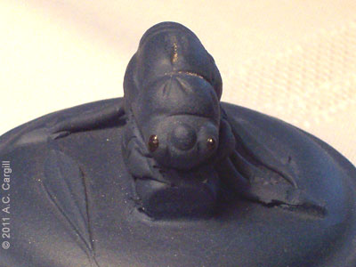 Cicada close up with shining black eyes.