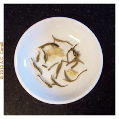 A Jasmine using the tipmost leaves of the tea bush 