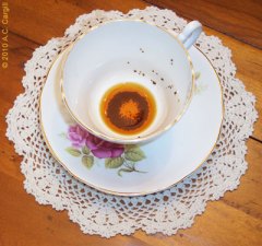 Empty teacups are terrible things!