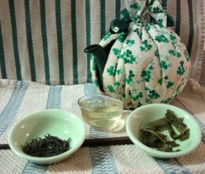 febpp2-yanagi - small