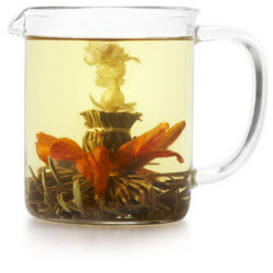 Flowering Jasmine and Lily Flowering Jasmine and Lily