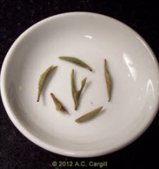 A very fine example of Silver Needles after steeping A very fine example of Silver Needles after steeping