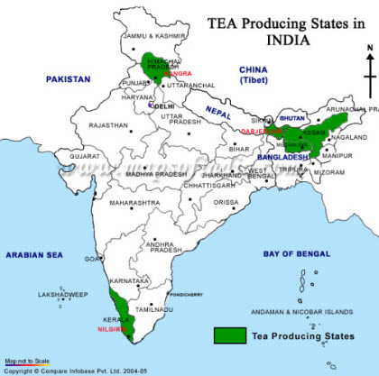Tea Producing States in India Tea Producing States in India
