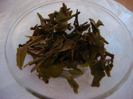 White Darjeeling tea leaves after steeping White Darjeeling tea leaves after steeping