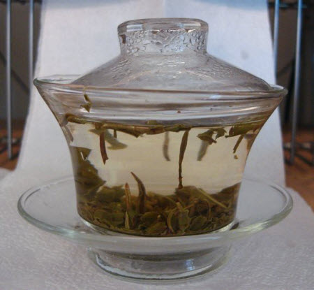 White Darjeeling tea steeping in a glass gaiwan White Darjeeling tea steeping in a glass gaiwan