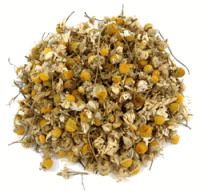 Nile Delta Camomile Nile Delta Camomile