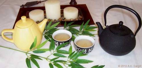 Snow Dragon White Tea (Photo source: A.C. Cargill, all rights reserved) Snow Dragon White Tea (Photo source: A.C. Cargill, all rights reserved)