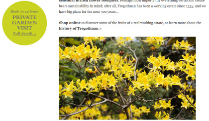 Tregothnan Estate in Cornwall (Photo source: screen capture from site) Tregothnan Estate in Cornwall (Photo source: screen capture from site)