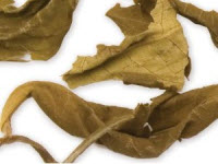 Yellow Tea from Davidson's Tea (Photo source: stock image)