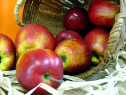 What to do with all those apples? Hm...AH!! Applesauce Tea Loaf! (Source: Morguefile.com) What to do with all those apples? Hm...AH!! Applesauce Tea Loaf! (Source: Morguefile.com)