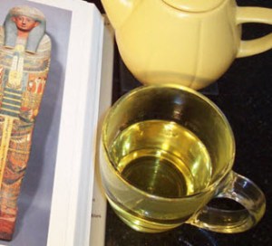 Nile Delta Chamomile (Photo source: A.C. Cargill, all rights reserved)