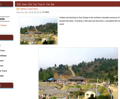300-year-old Tea Tree (Photo source: screen capture from site)