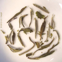 Dry leaves of a Hawaiian green tea (Photo source: A.C. Cargill, all rights reserved)