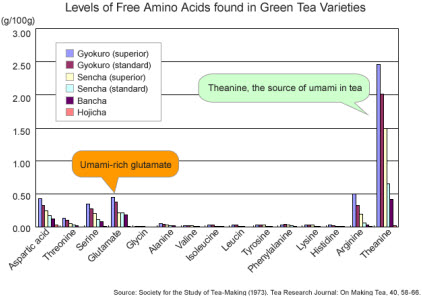 Umami in green tea (Photo source: screen capture from site)
