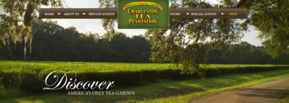 The Charleston Tea Plantation, now a popular tourist destination. (Photo source: screen capture from the site)