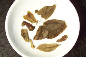 Tea_Blog_BTC-Drgnwll_CompA