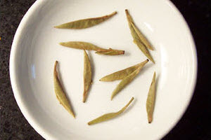 Tea_Blog_CATH-SilNdlC000a