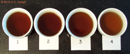 This tale requires four steepings of Young Pu-erh (Photo source: A.C. Cargill, all rights reserved)