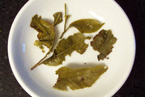 Tea_Blog_TP-TKYOolong-CompA