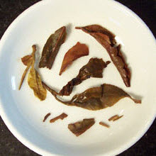 A “specific” Darjeeling (flush and garden specified) showing leaf color variations. (Photo source: A.C. Cargill, all rights reserved)