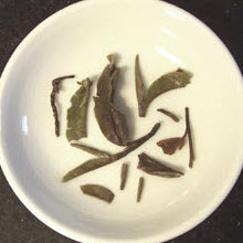 Not all Darjeelings have that varied color appearance. This is a white Darjeeling tea. (Photo source: A.C. Cargill, all rights reserved)
